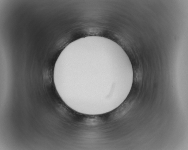X0000113910666200910221334