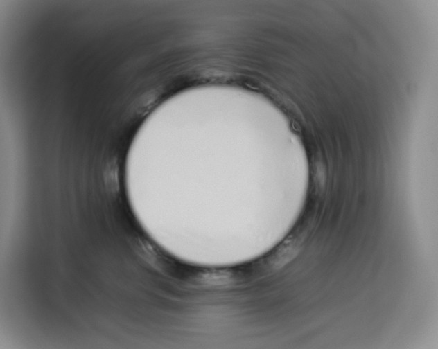 X0000113910668200910221334