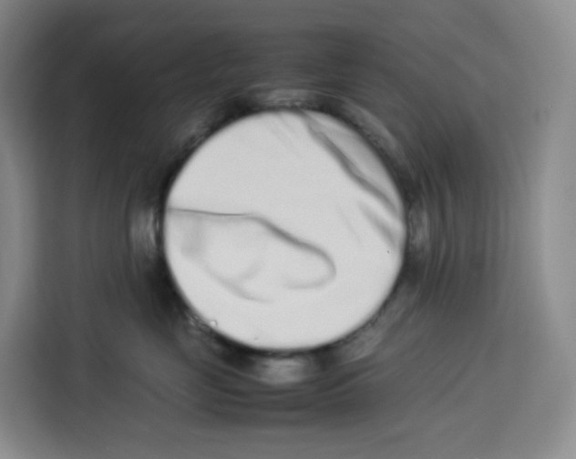 X0000113910669200910221335
