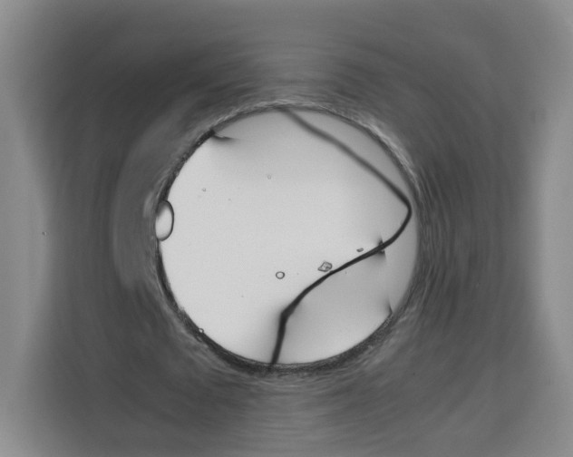 X0000113910673200910221334