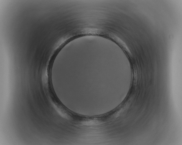 X0000113910674200910221334