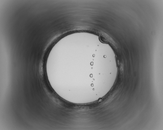 X0000113910676200910221334