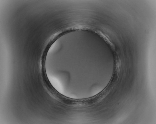 X0000113910678200910221334