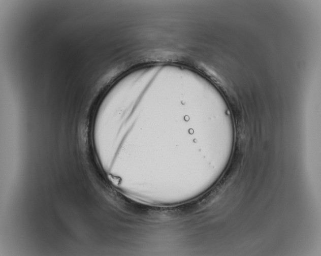 X0000113910679200910221334