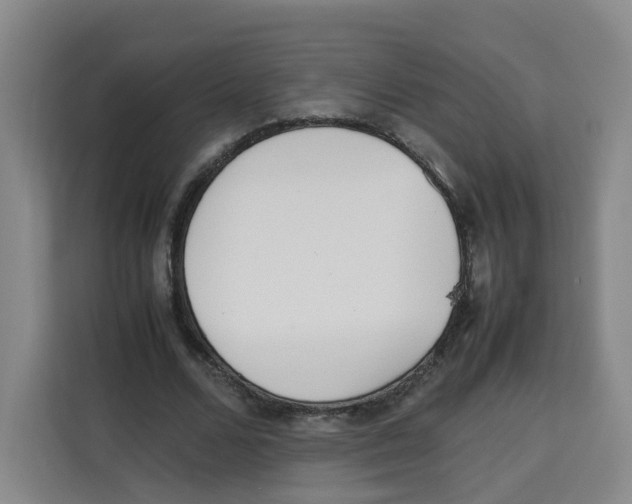 X0000113910680200910221334