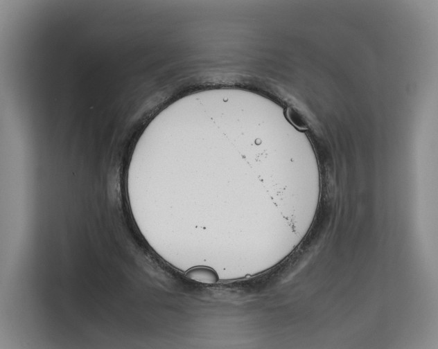 X0000113910681200910221334