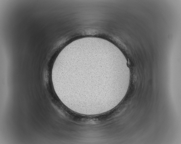 X0000113910683200910221334