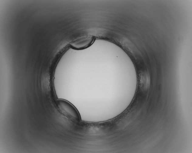 X0000113910684200910221334