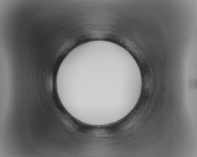 X0000113910685200910221334