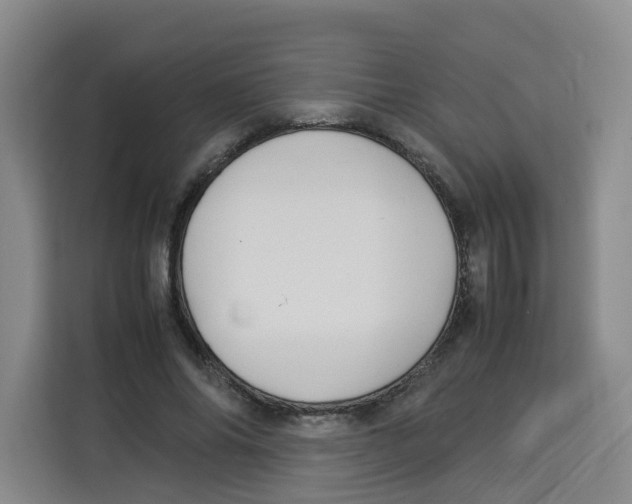 X0000113910686200910221334