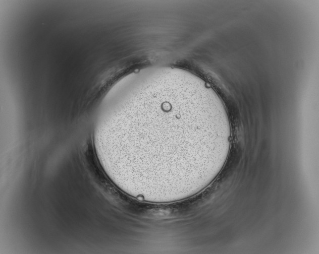 X0000113910687200910221334