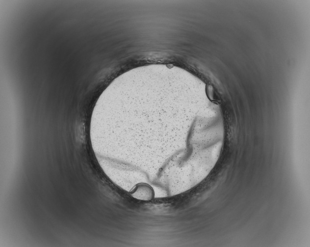X0000113910689200910221334