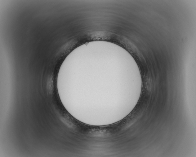 X0000113910690200910221334