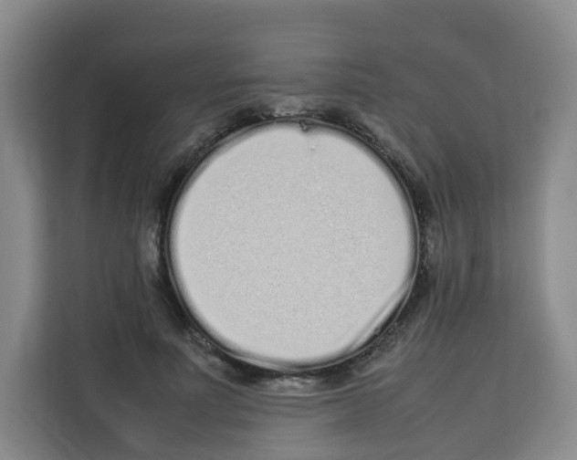 X0000113910691200910221334
