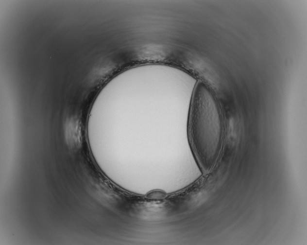X0000113910692200910221334