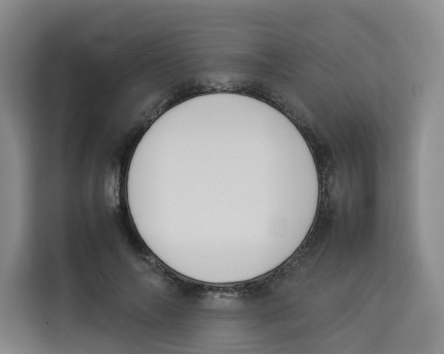 X0000113910694200910221334