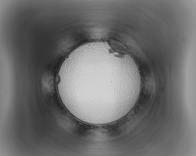 X0000113910696200910221334
