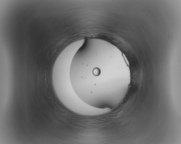 X0000113910697200910221334