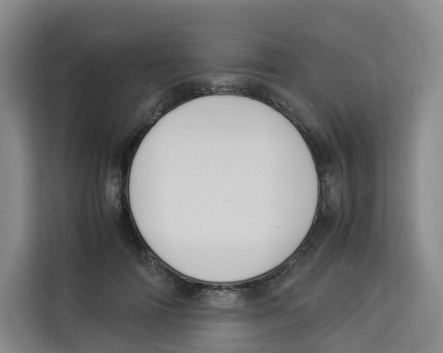 X0000113910698200910221334