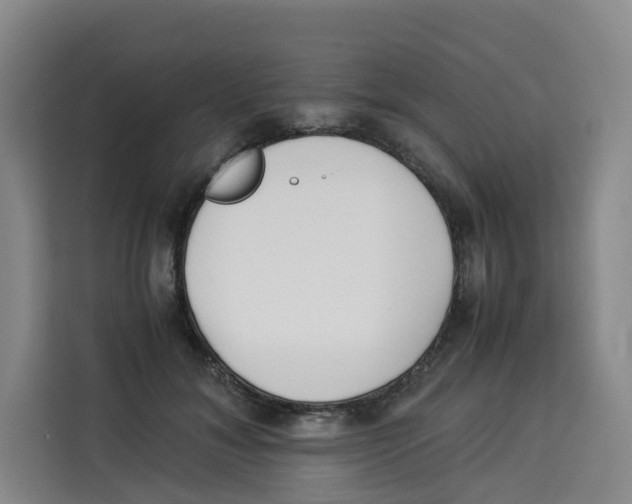 X0000113910700200910221334