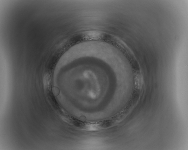 X0000113910701200910221334