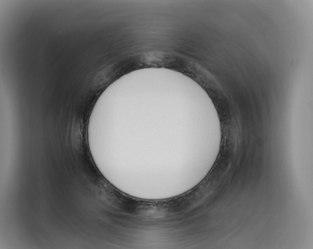 X0000113910702200910221334