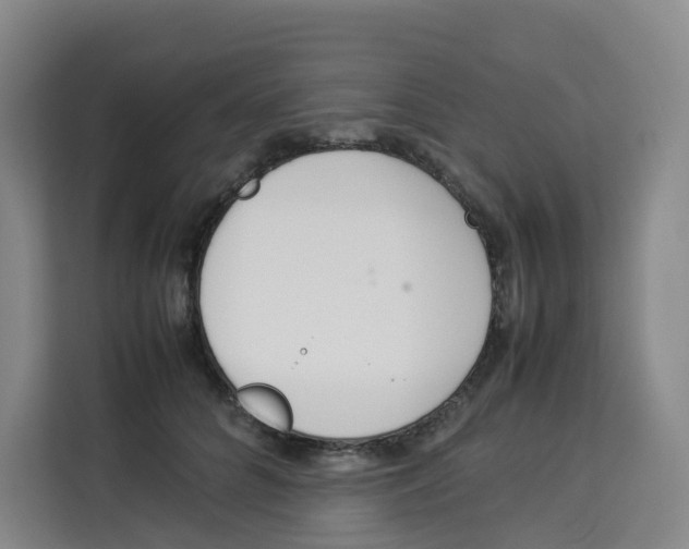 X0000113910704200910221334