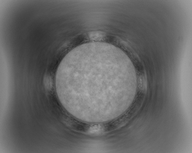 X0000113910705200910221334