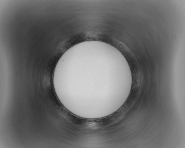 X0000113910706200910221333