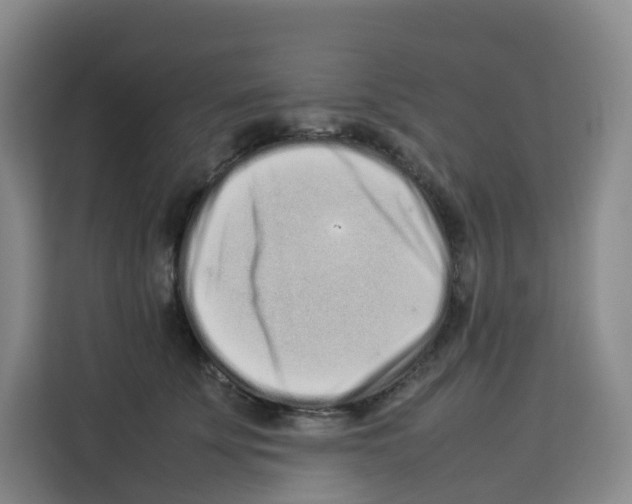 X0000113910707200910221333