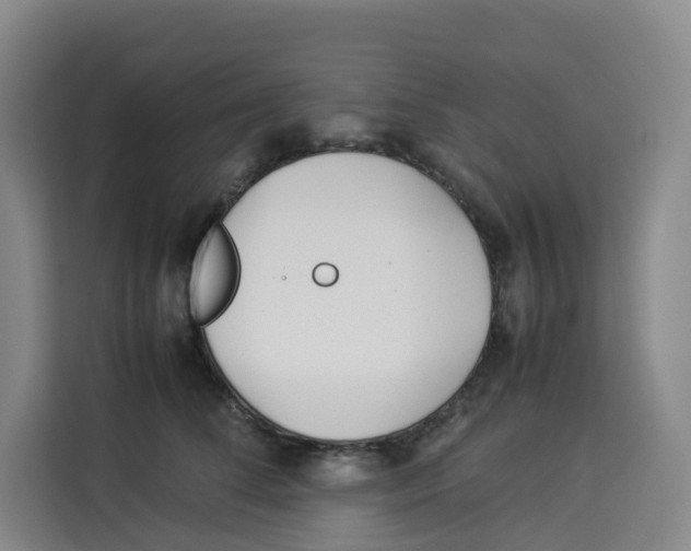 X0000113910708200910221333