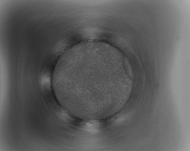 X0000113910720200910221333