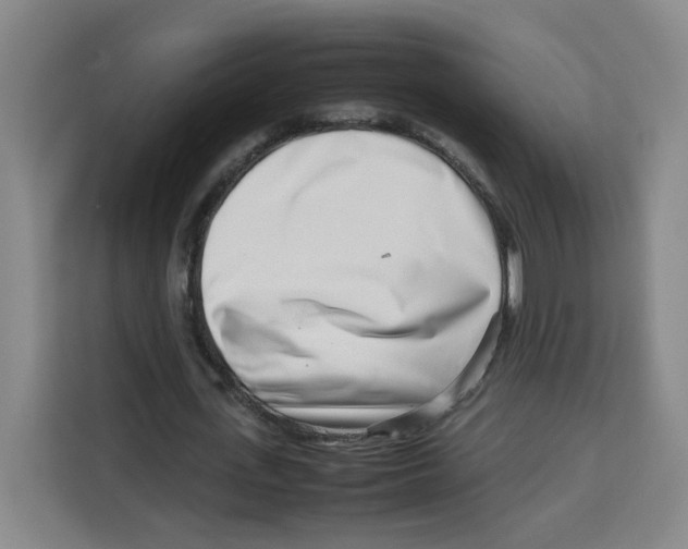 X0000113910723200910221333