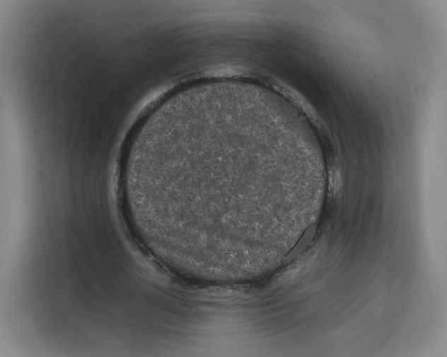 X0000113910724200910221333