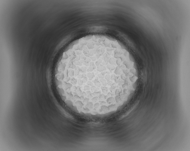 X0000113910725200910221333