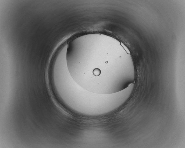 X0000113910726200910221333