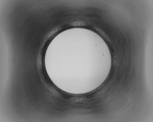 X0000113910727200910221333