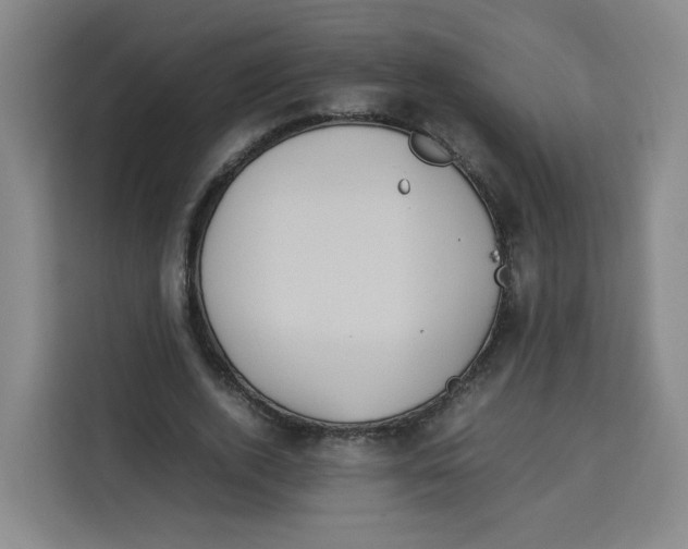 X0000113910728200910221333