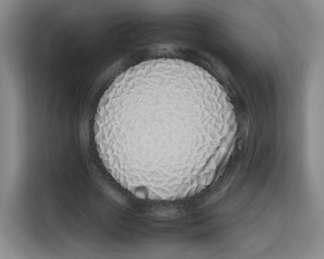 X0000113910729200910221333