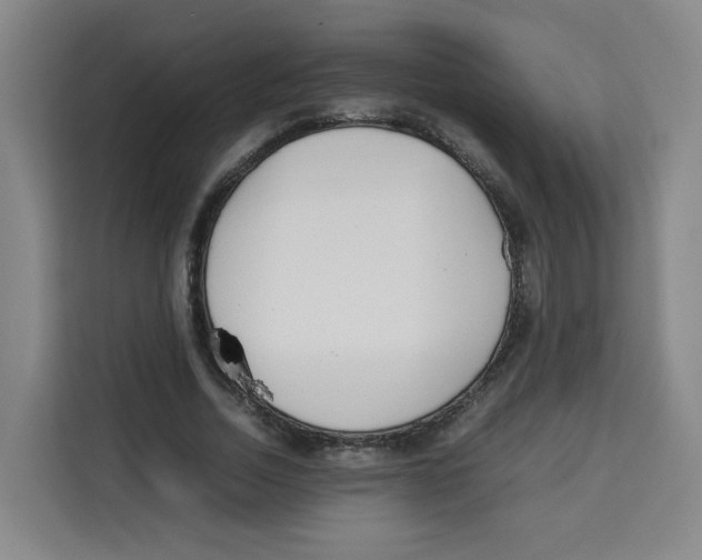 X0000113910730200910221333