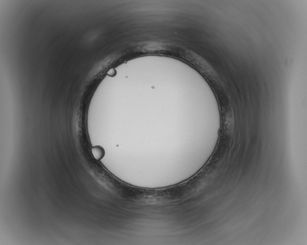 X0000113910732200910221333