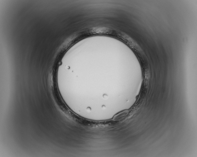X0000113910734200910221333