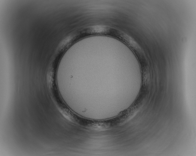 X0000113910736200910221333