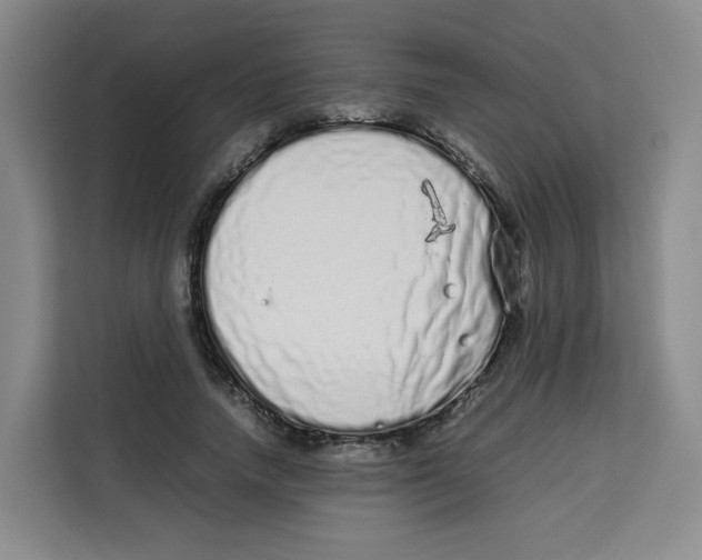 X0000113910738200910221333
