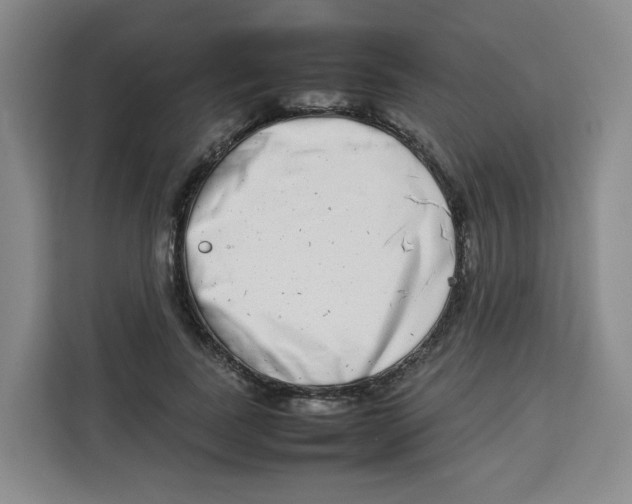 X0000113910739200910221333