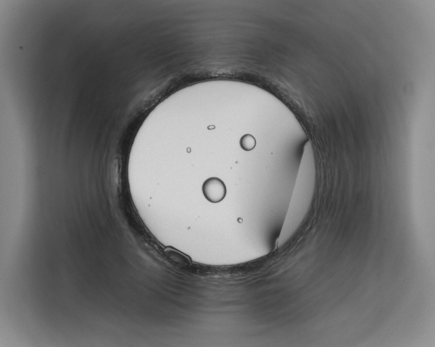 X0000113910740200910221333
