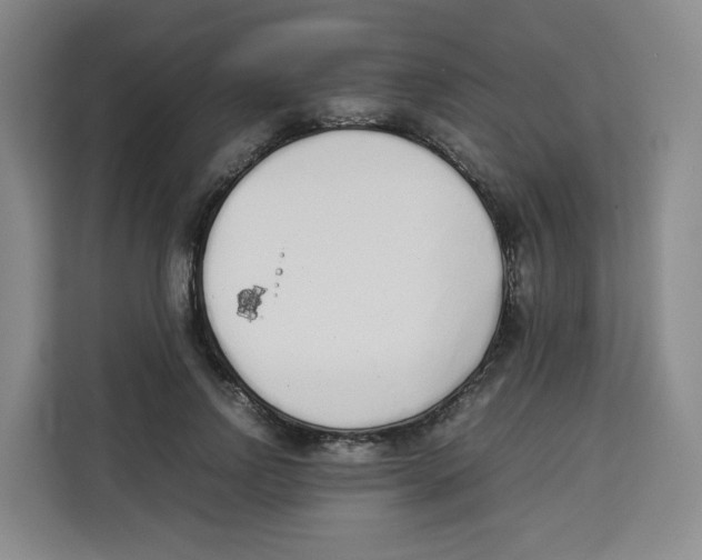 X0000113910742200910221333