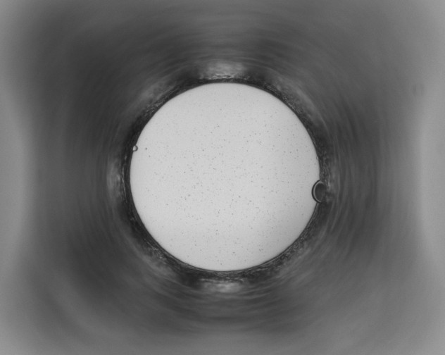 X0000113910743200910221333