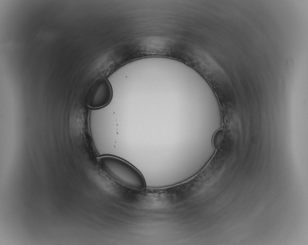 X0000113910744200910221333