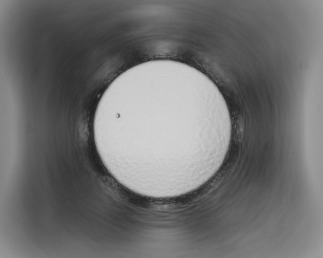 X0000113910746200910221333